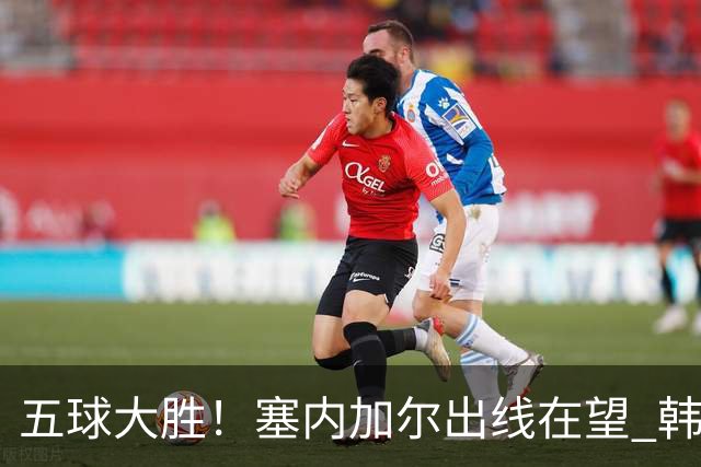 五球大胜！塞内加尔出线在望 韩国晋级仅剩理论希望
